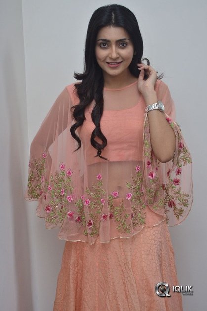 Avantika-Mishra-At-Vaishakham-Movie-Success-meet